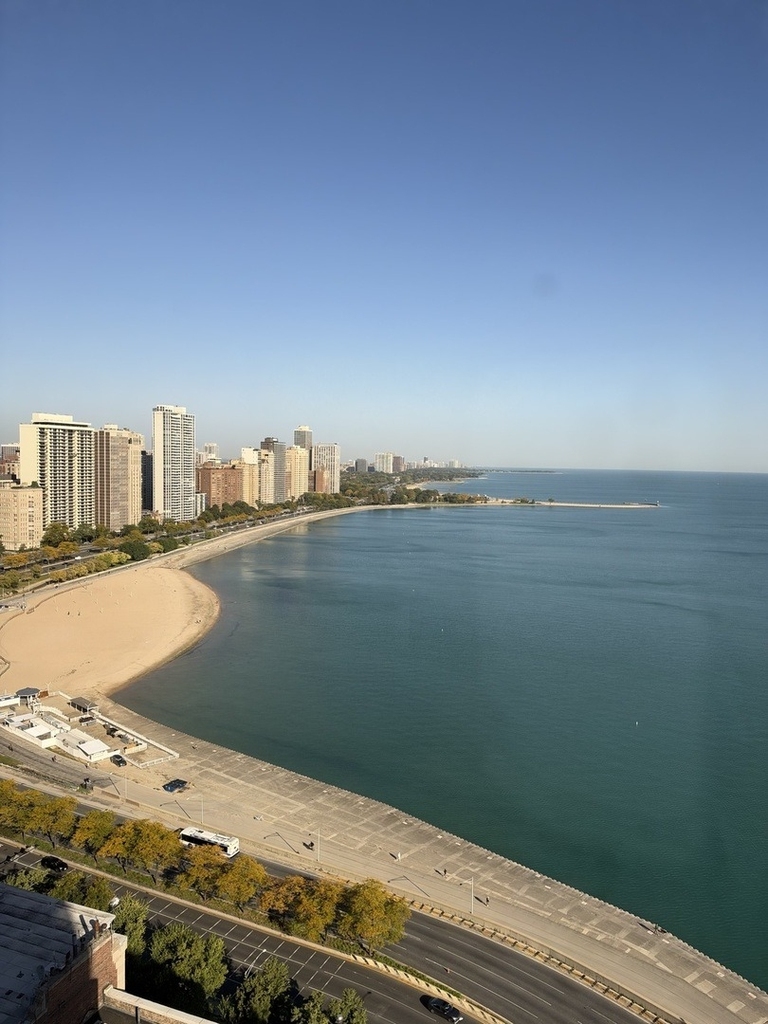 990 N Lake Shore Drive - Photo 8