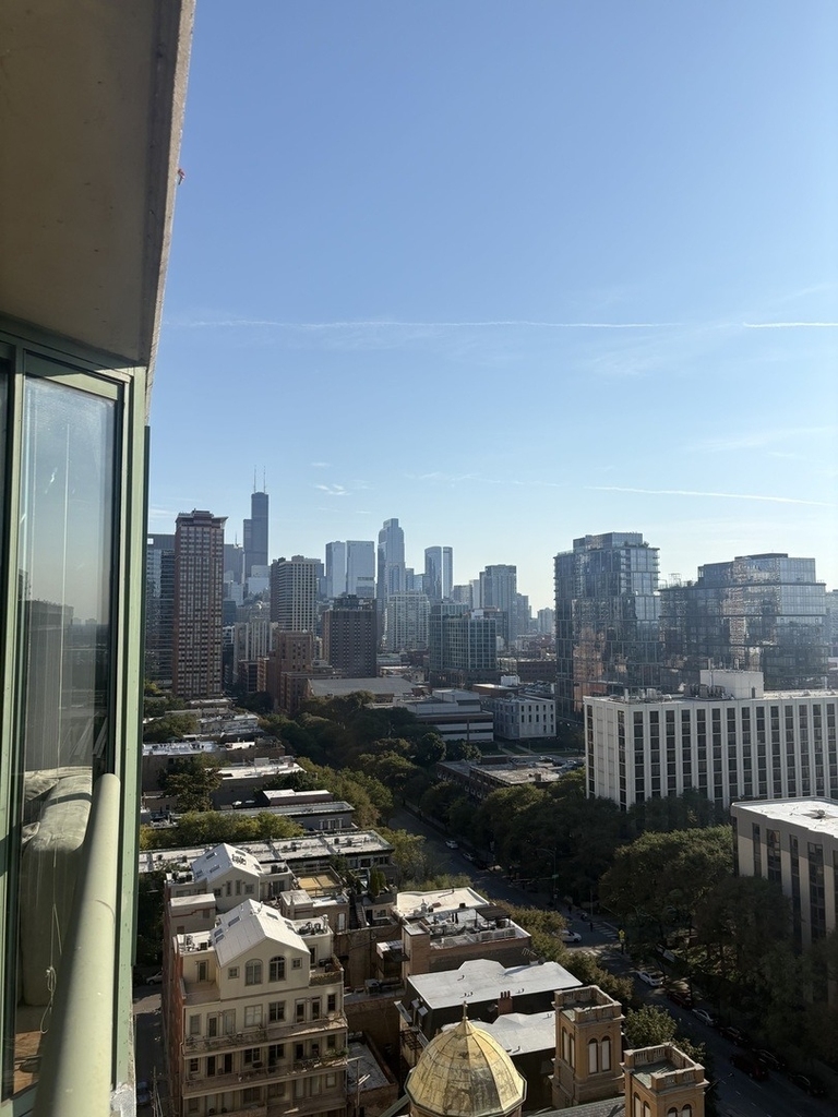 111 W Maple Street - Photo 10