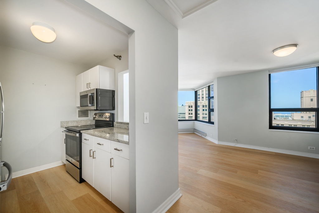401 E Ontario Street - Photo 6