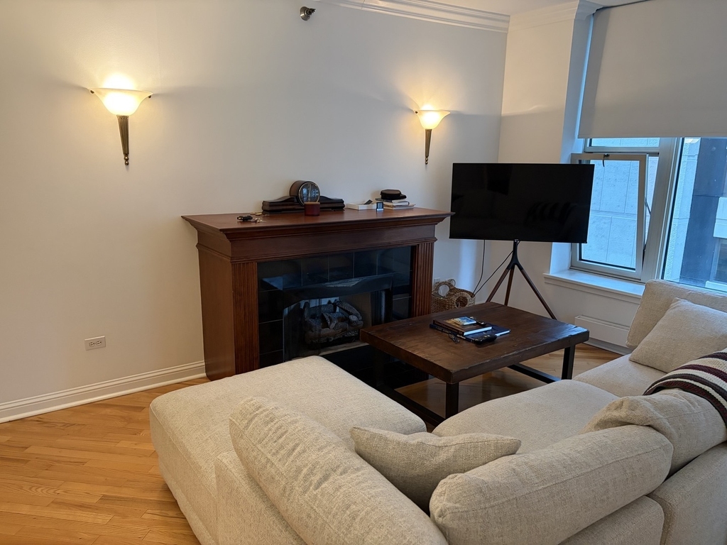 25 E Superior Street - Photo 1