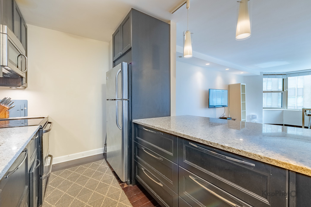 535 N Michigan Avenue - Photo 10