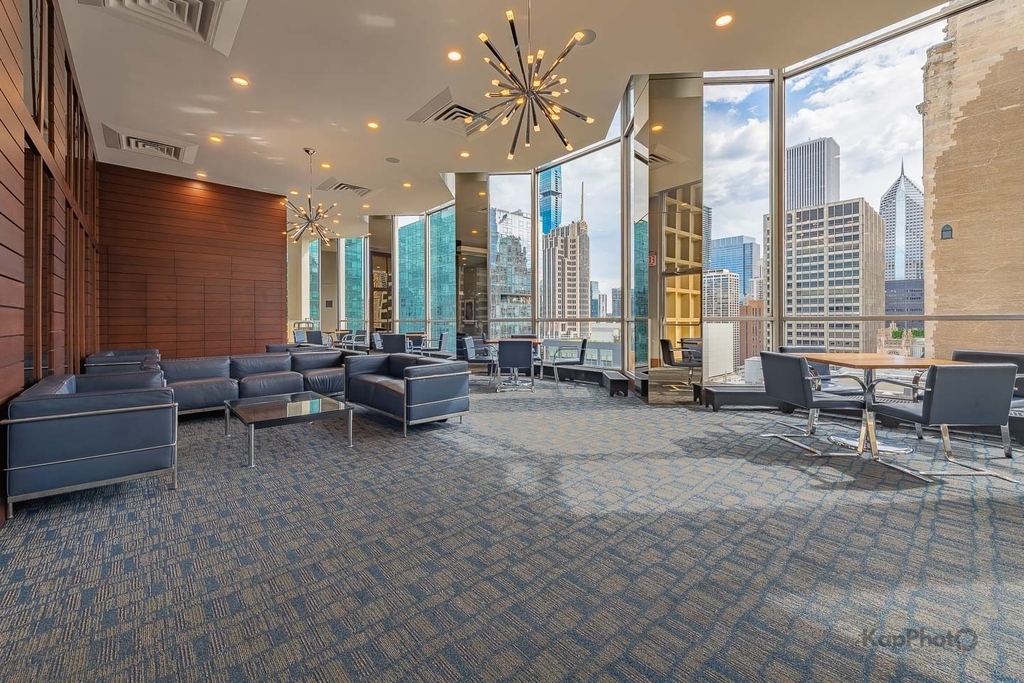 535 N Michigan Avenue - Photo 18
