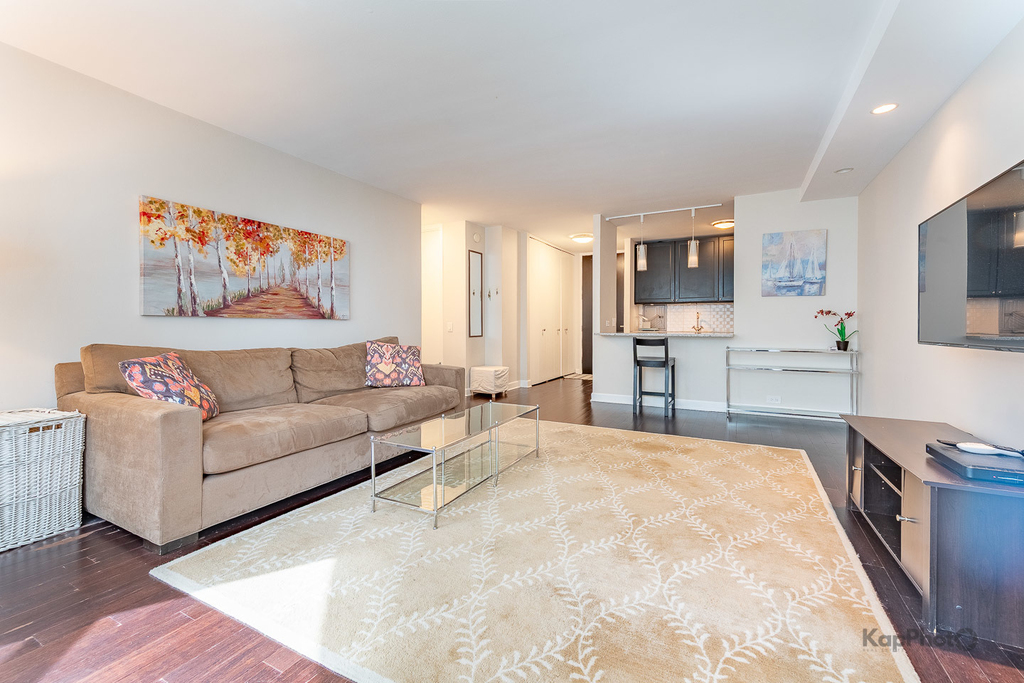 535 N Michigan Avenue - Photo 5