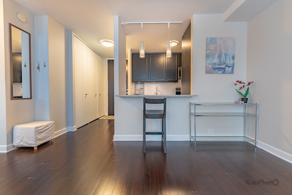535 N Michigan Avenue - Photo 7