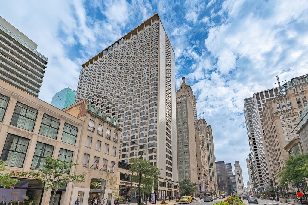 535 N Michigan Avenue - Photo 0