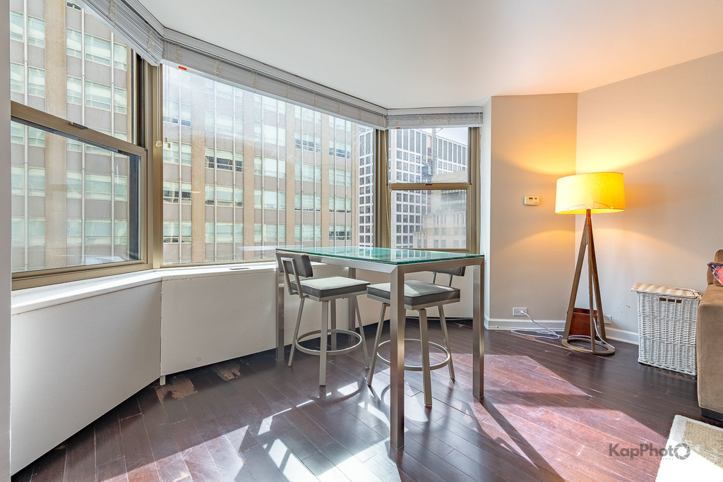535 N Michigan Avenue - Photo 3