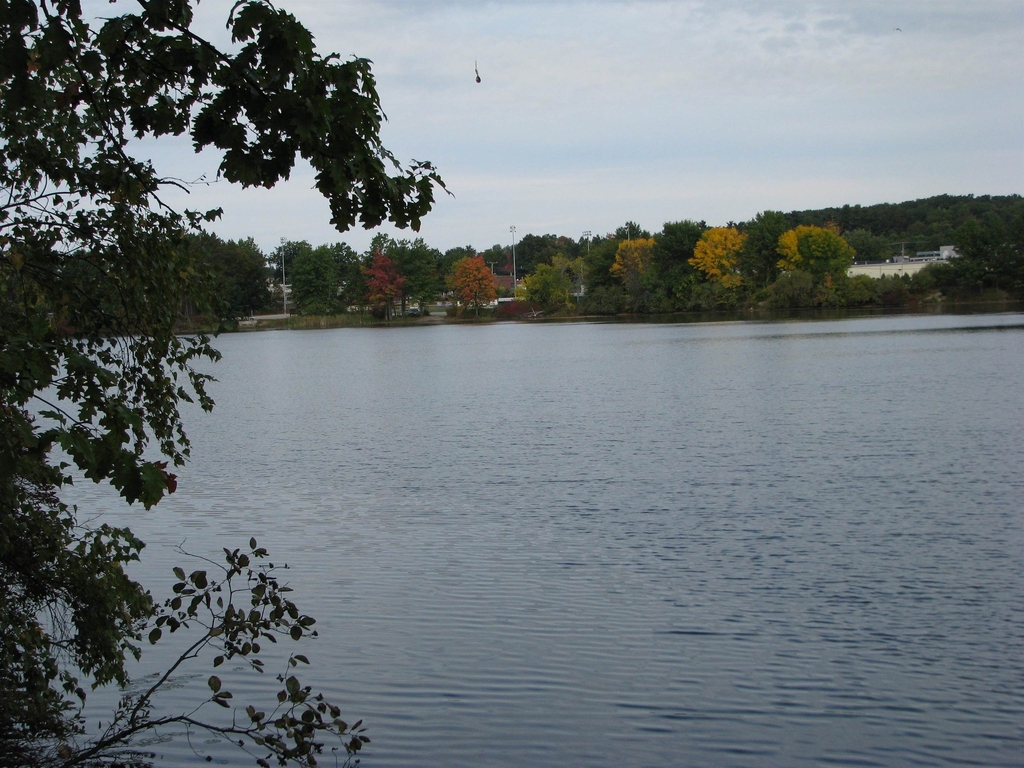 30 Sentinel - Photo 38