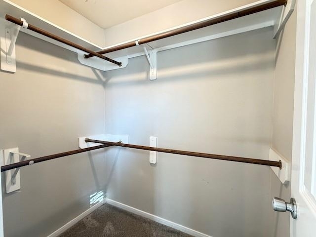 20023 Cypresswood Glen - Photo 25