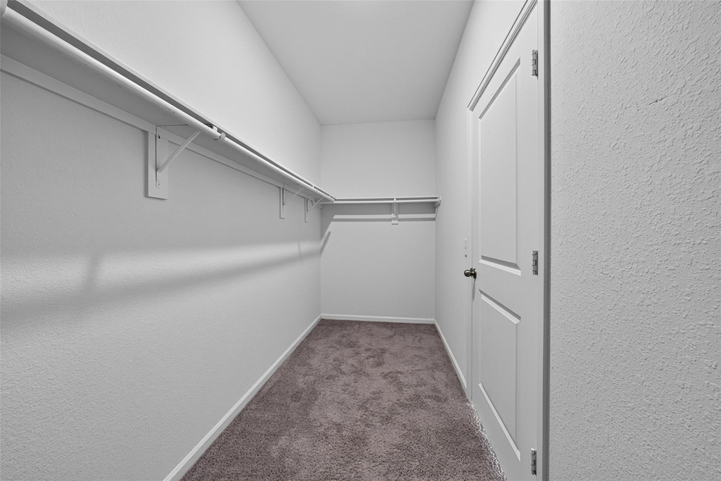 980 Blue Beech Lane - Photo 12