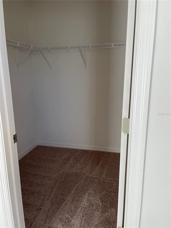 5323 Companion Lane - Photo 21