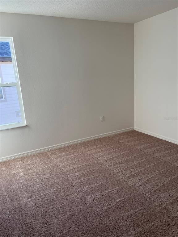 5323 Companion Lane - Photo 12