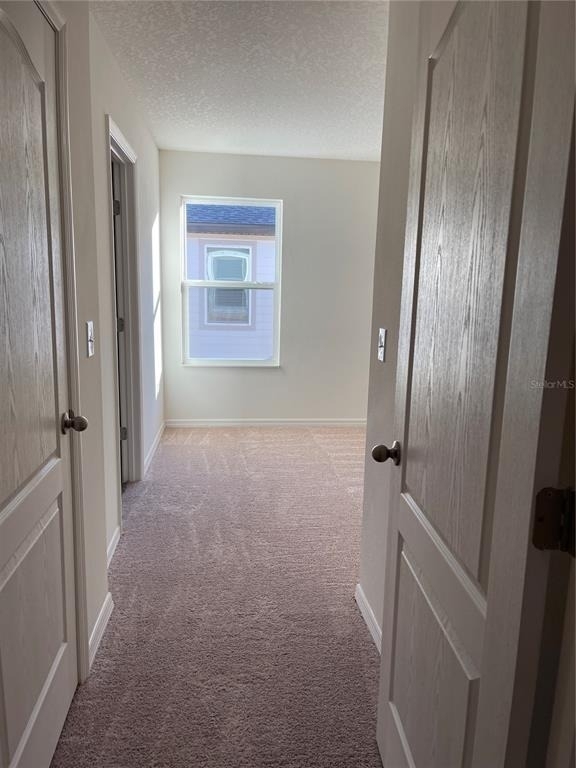 5323 Companion Lane - Photo 11
