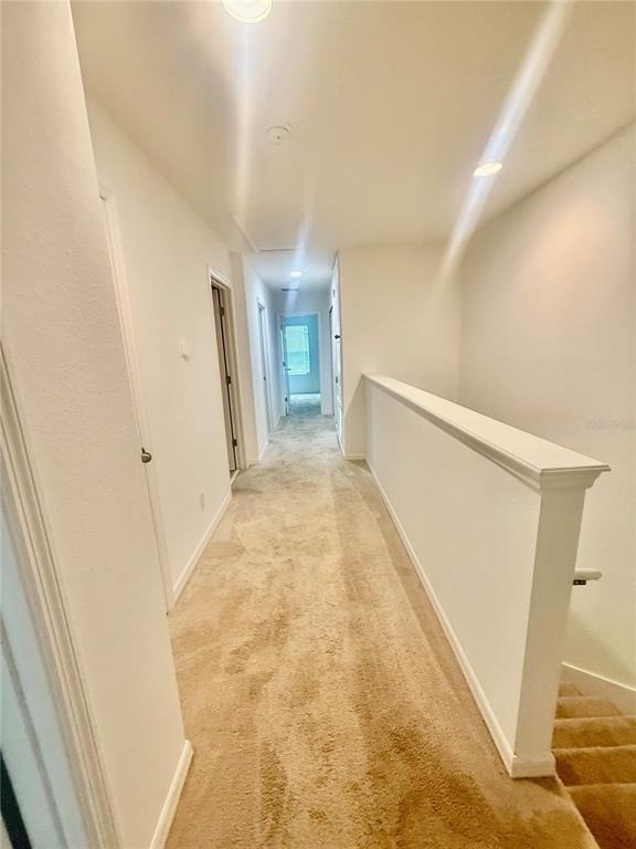 251 Annabelle Way - Photo 13