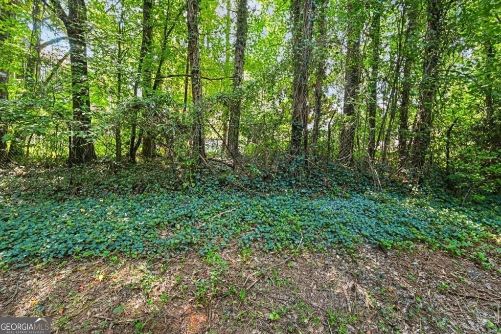3038 Steeplechase - Photo 39