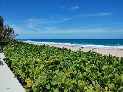 5500 Old Ocean Boulevard - Photo 2