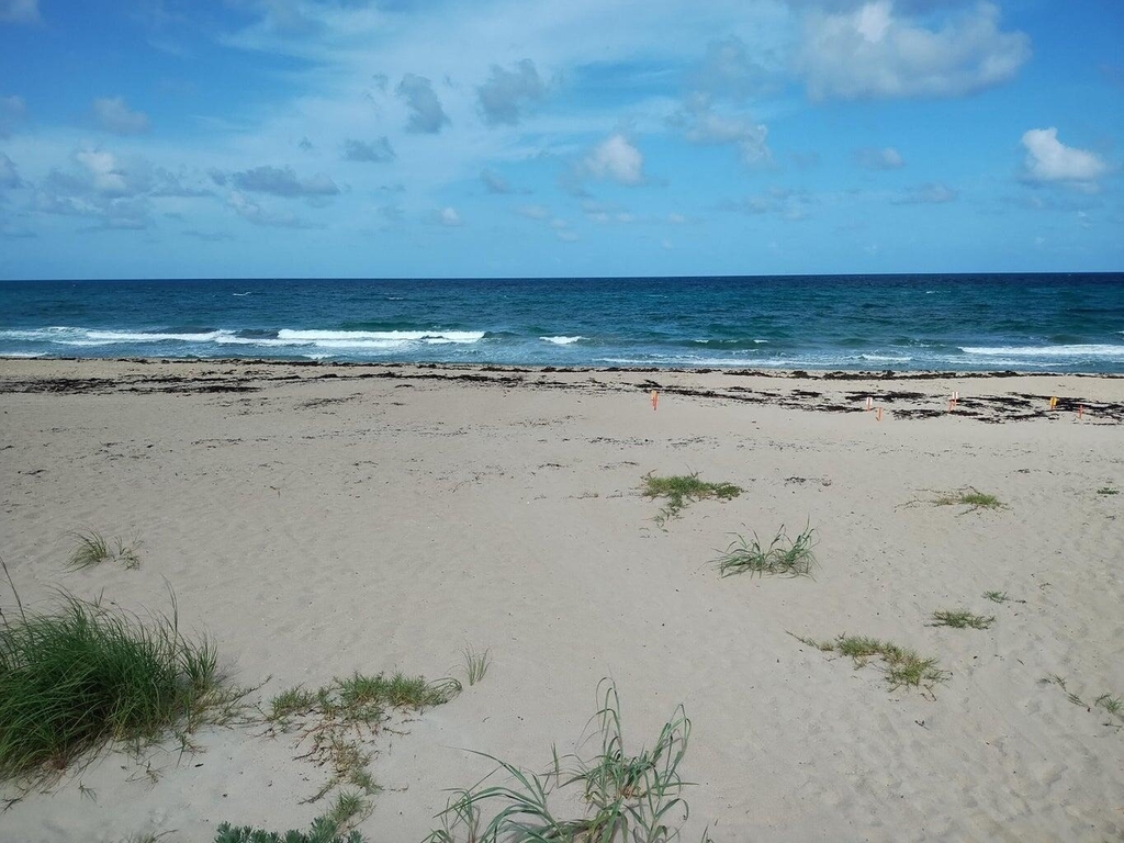 5500 Old Ocean Boulevard - Photo 9