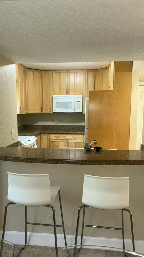 1135 Lake Shore Drive - Photo 29