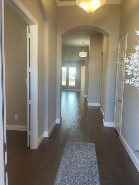 6113 Whiskerbrush Road - Photo 3