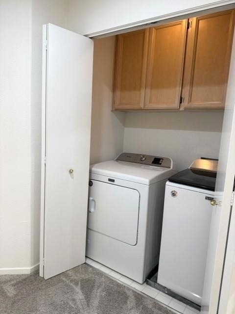 6068 Nice Terrace - Photo 56