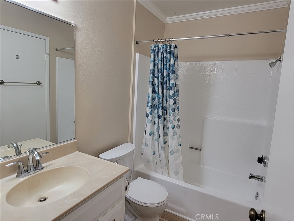 10852 Loro Verde - Photo 15