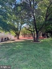 902 W Poplar Road - Photo 28