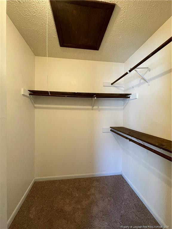 6383 Hawfield Drive - Photo 19