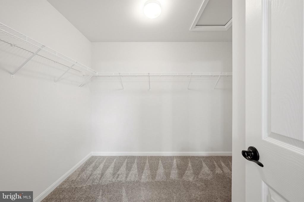 102 Curtain Fall Drive - Photo 33