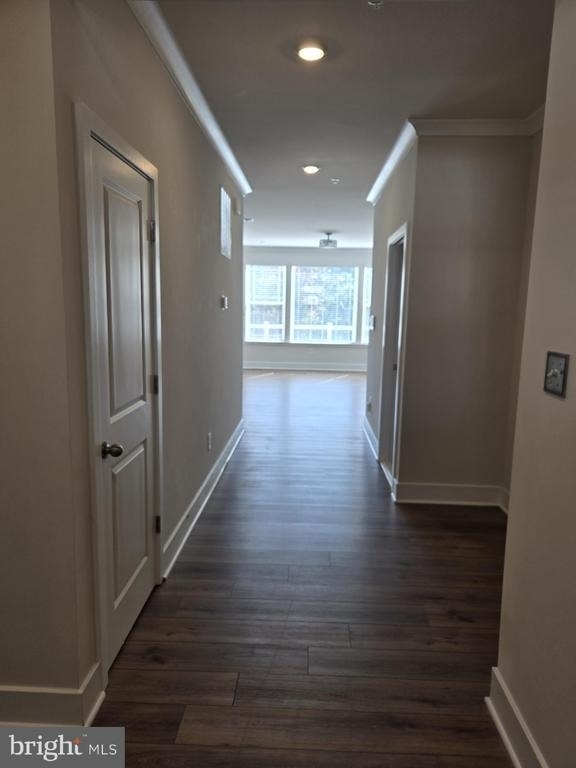 3954 Katmai Street - Photo 2