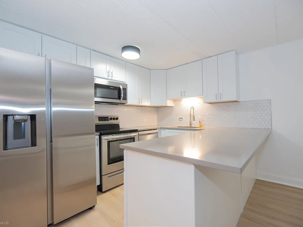 2225 N Halsted Street - Photo 4