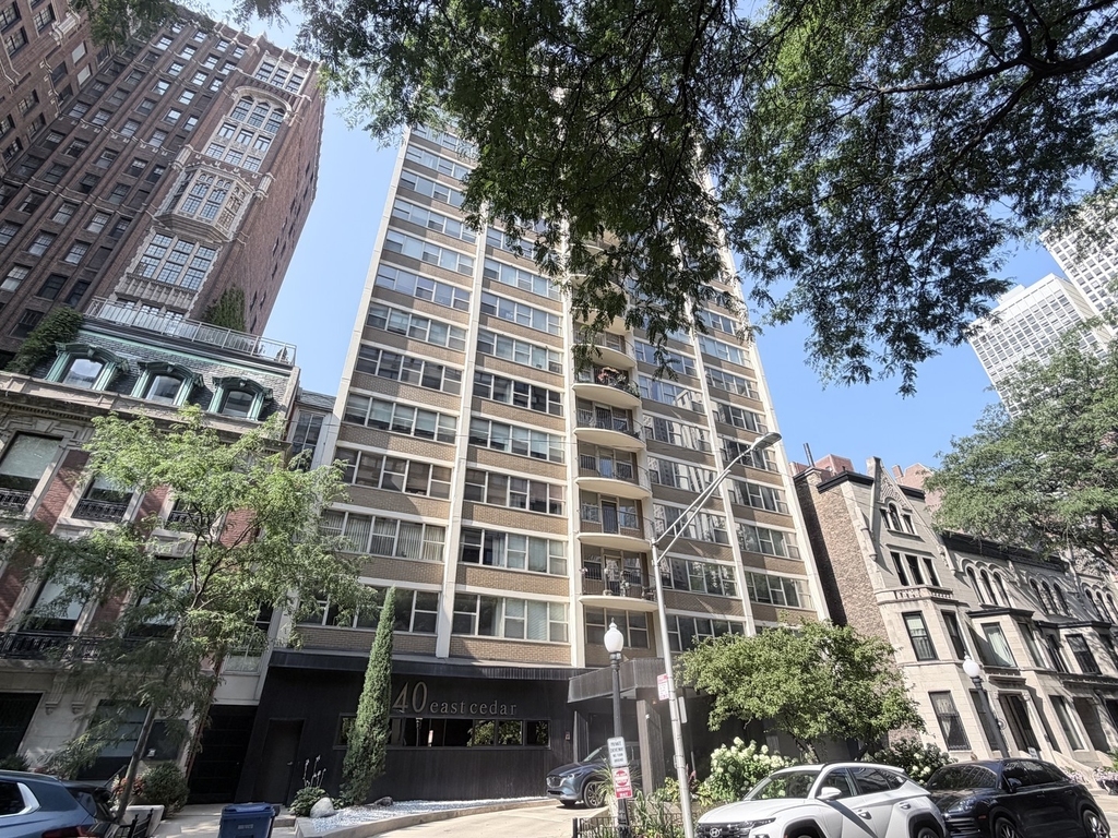 40 E Cedar Street - Photo 0
