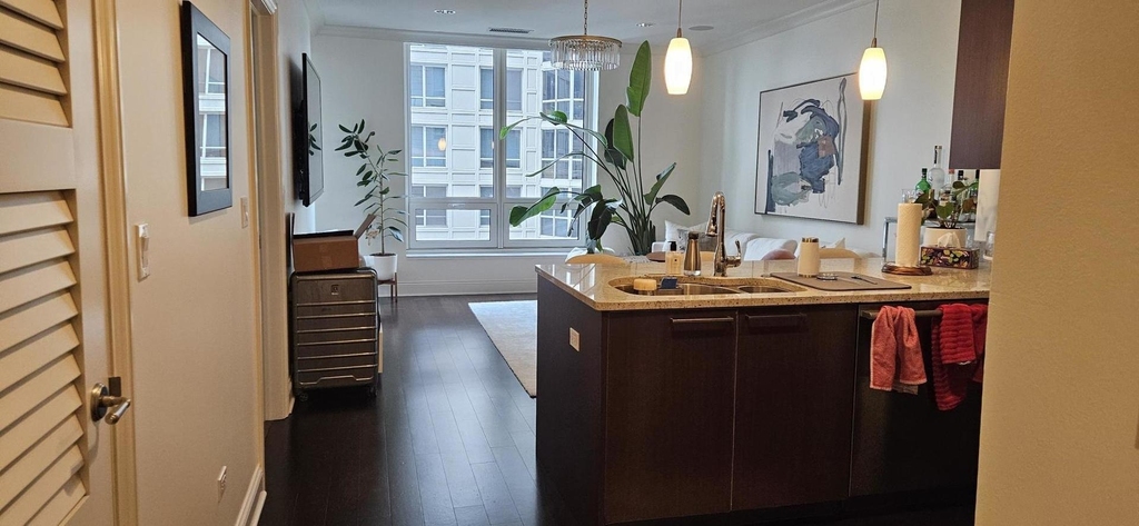10 E Delaware Place - Photo 4
