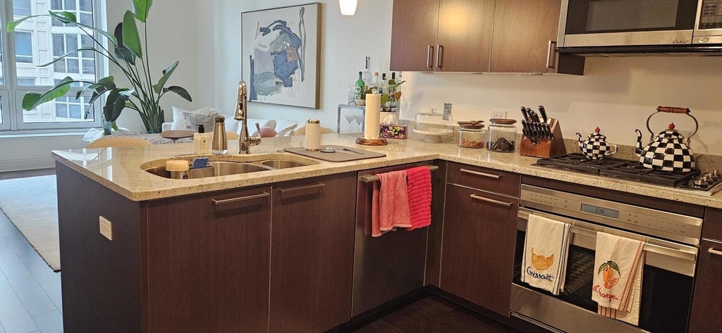 10 E Delaware Place - Photo 3