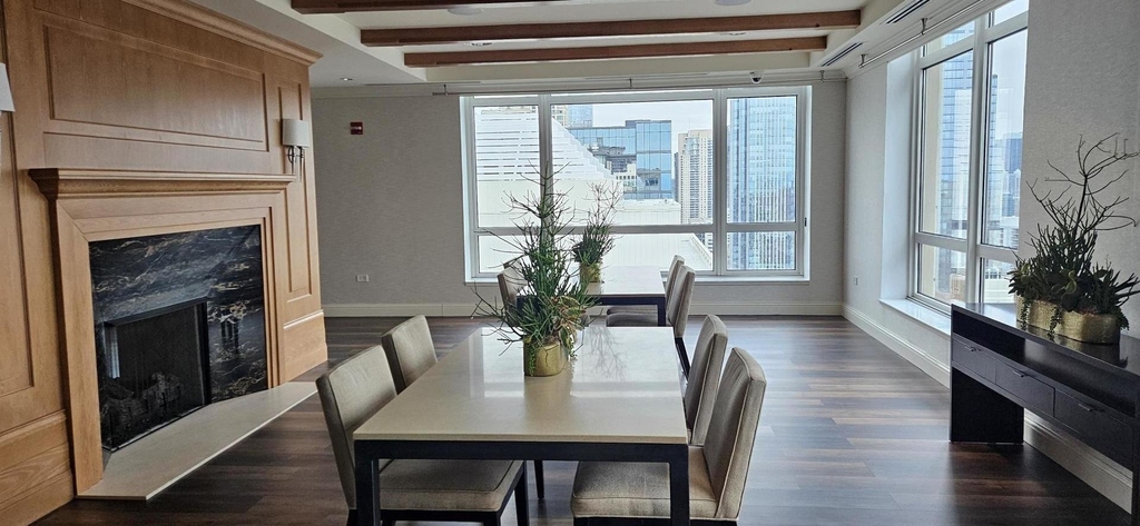 10 E Delaware Place - Photo 20