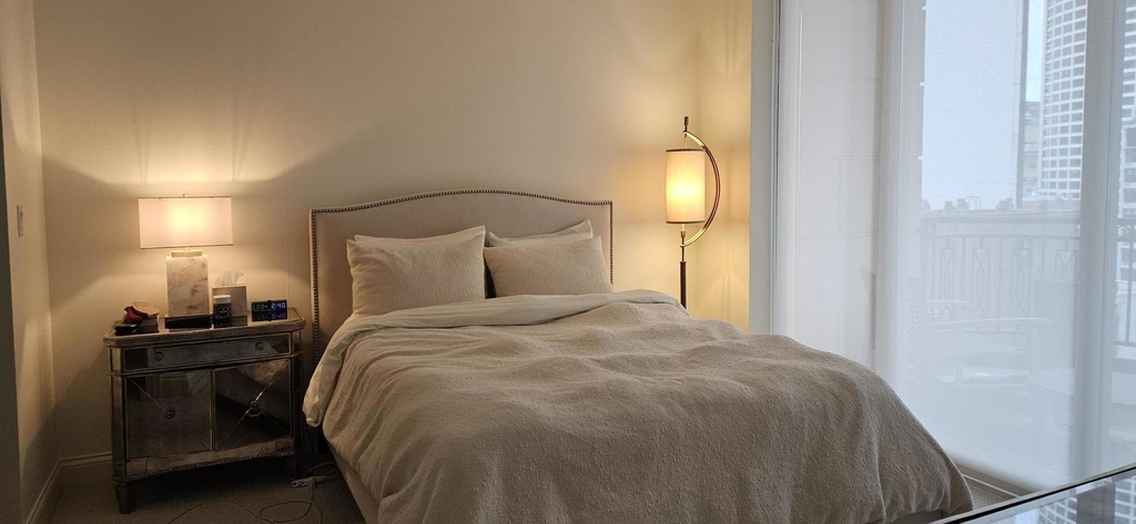 10 E Delaware Place - Photo 9