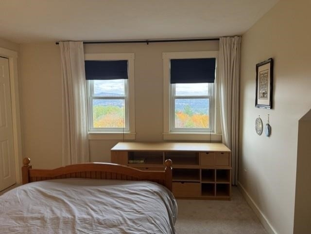 276 Kearsarge Mountain - Photo 9