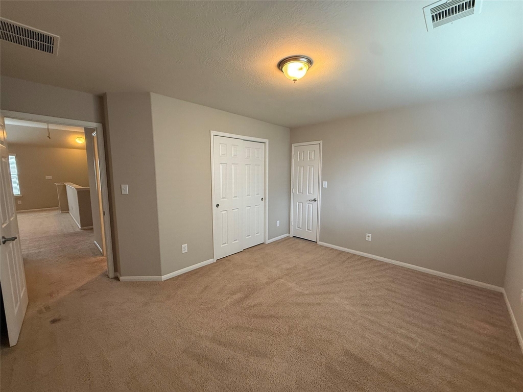 13302 Douglas Lake Road - Photo 29