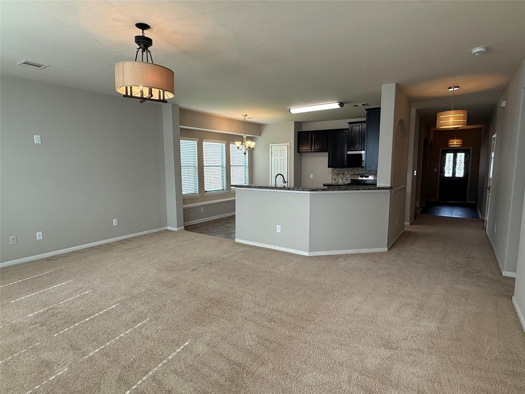 13302 Douglas Lake Road - Photo 14