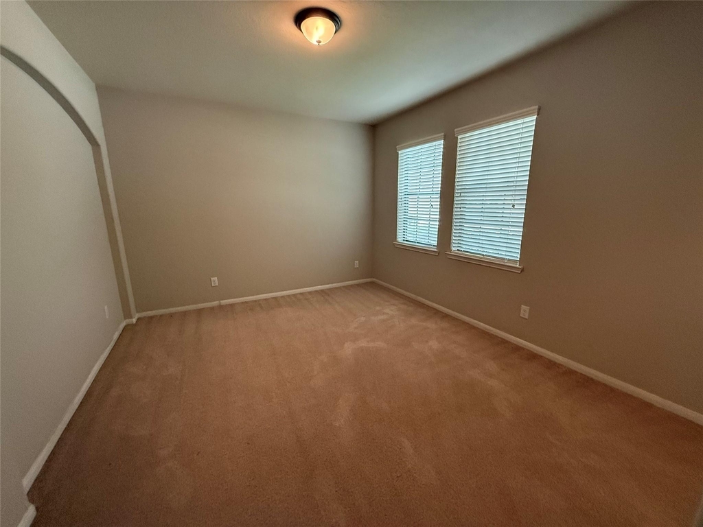 13302 Douglas Lake Road - Photo 3
