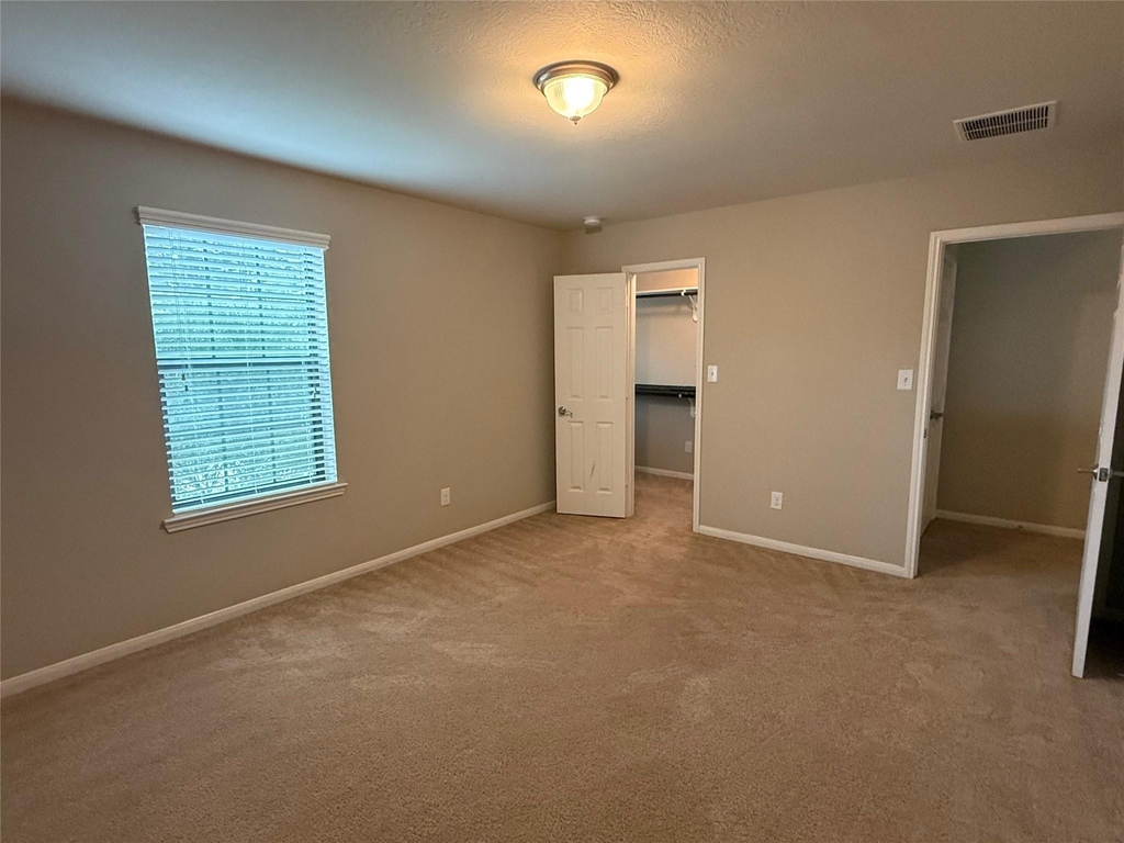 13302 Douglas Lake Road - Photo 32