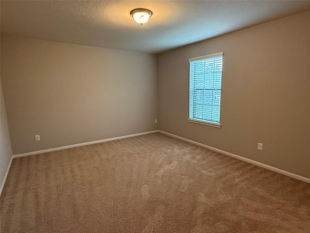 13302 Douglas Lake Road - Photo 31