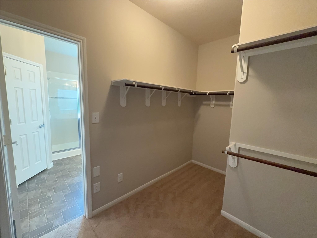 13302 Douglas Lake Road - Photo 10