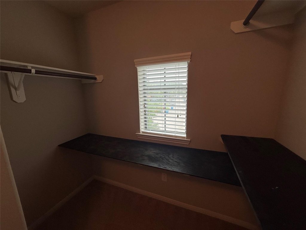 13302 Douglas Lake Road - Photo 34