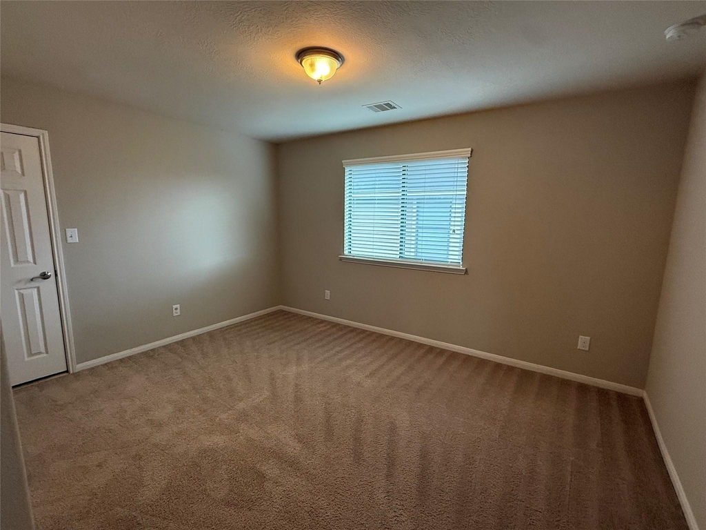 13302 Douglas Lake Road - Photo 28