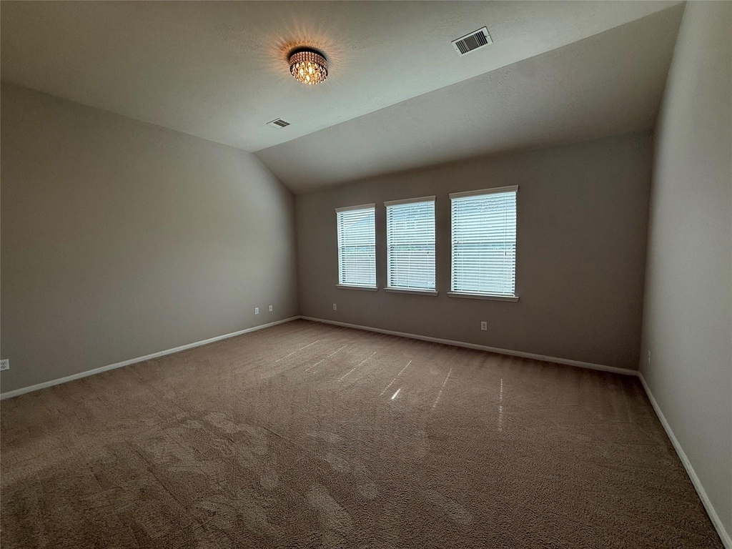 13302 Douglas Lake Road - Photo 5