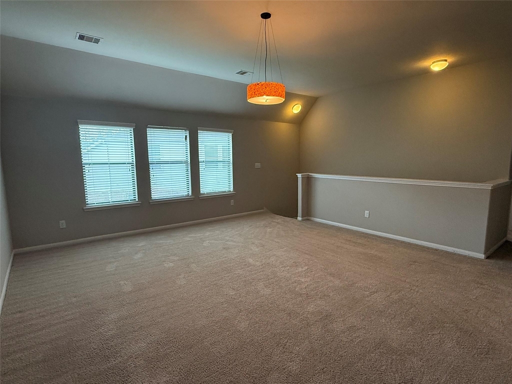 13302 Douglas Lake Road - Photo 24