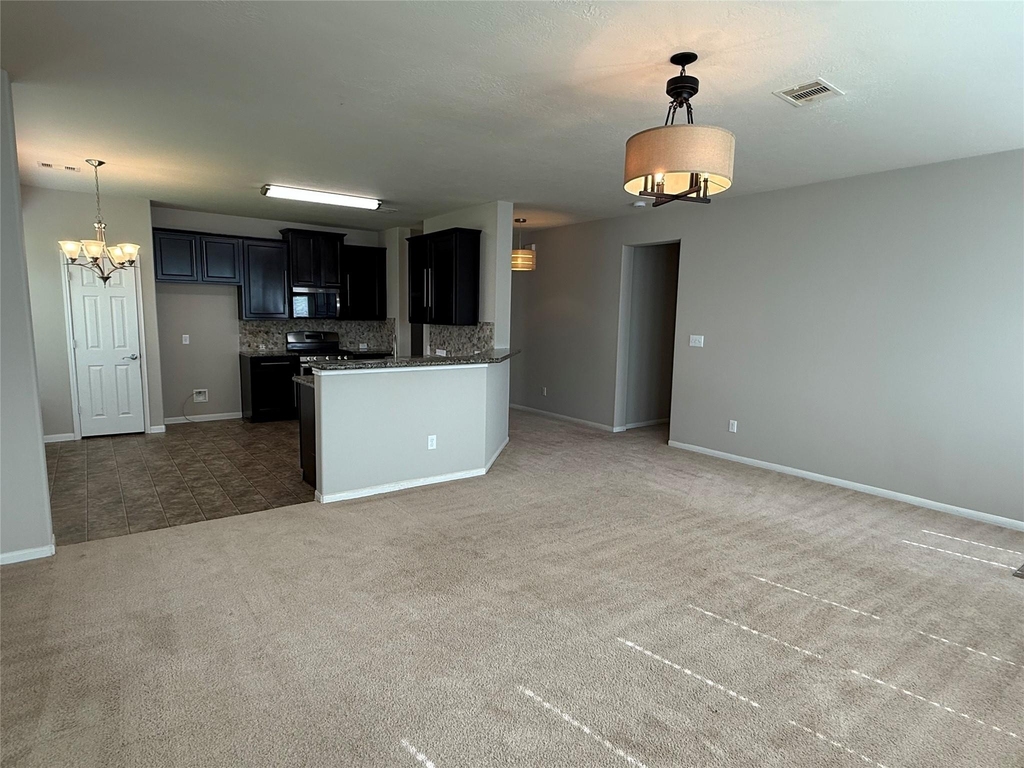 13302 Douglas Lake Road - Photo 13