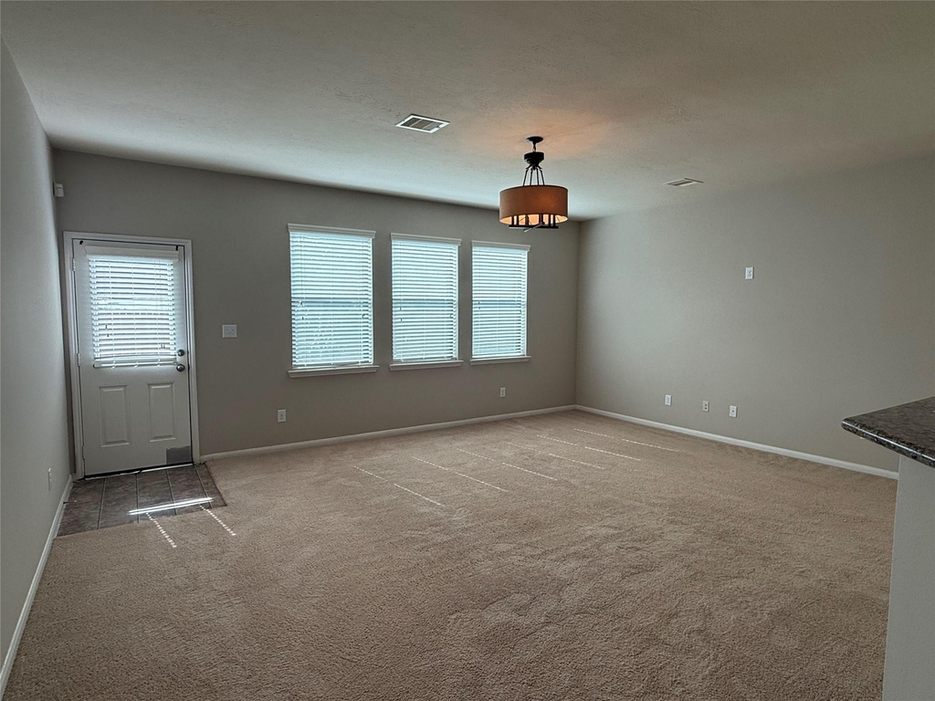 13302 Douglas Lake Road - Photo 12