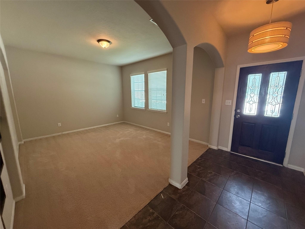 13302 Douglas Lake Road - Photo 2