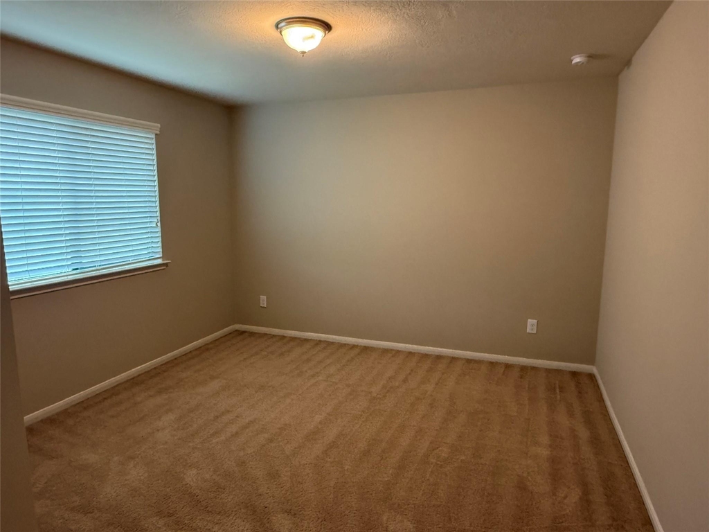 13302 Douglas Lake Road - Photo 27