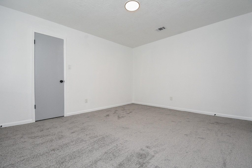 15814 Winding Moss Drive - Photo 30